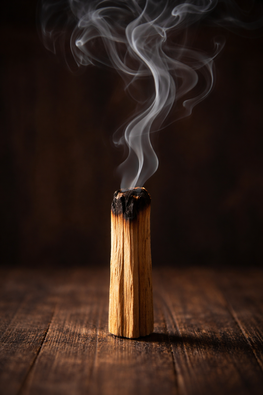 Cómo usar el palo santo en casa